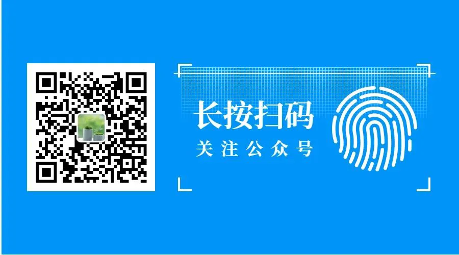 业余篮球爱好者在哪里可以找到表演赛资源_2